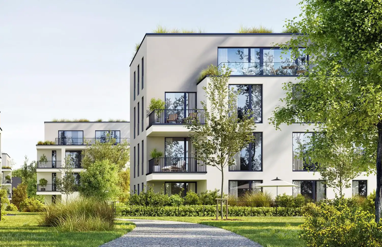 contracting biomassehof