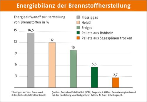 depi energiebilanz brennstoffherstellung