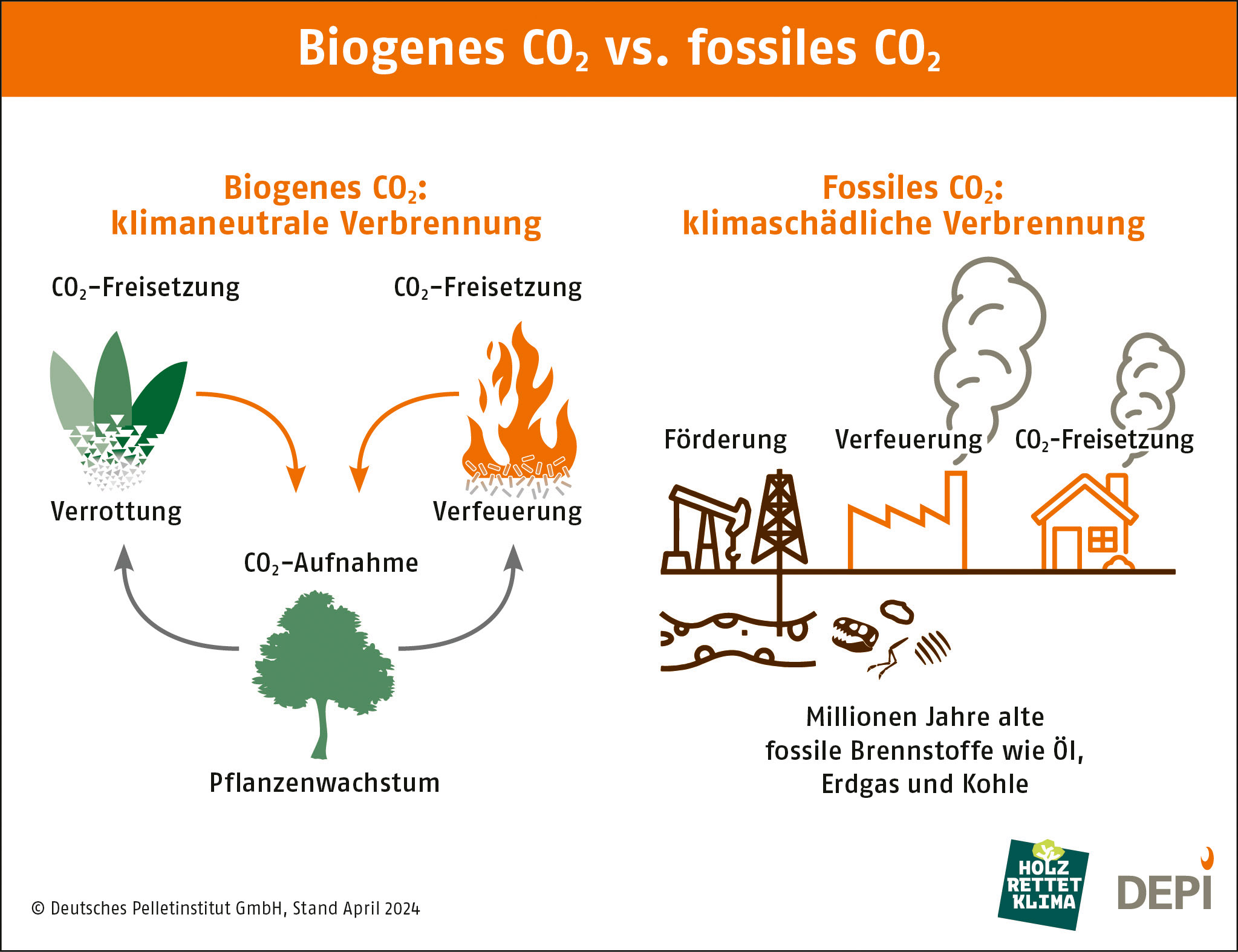 depi klimaholz biogenes und fossiles co2