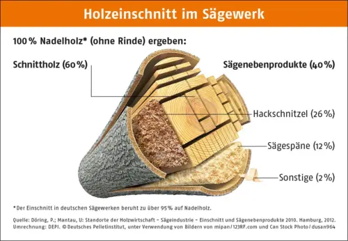 holzeinschnitt im sägewerk