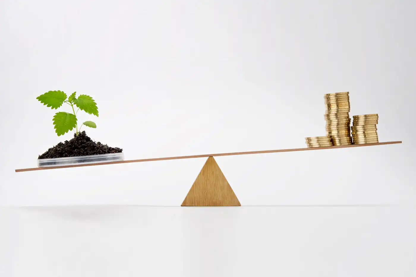 im vergleich noch immer preiswert