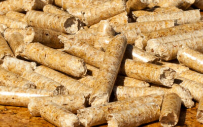 Entwicklung Pelletpreise: Vorsicht vor dem V!