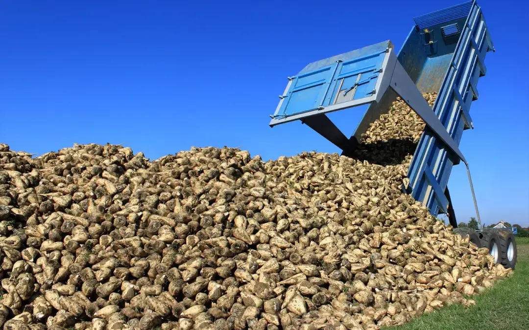 Biomassehof: Jetzt auch Bürger-Ökogas / Pressemitteilung